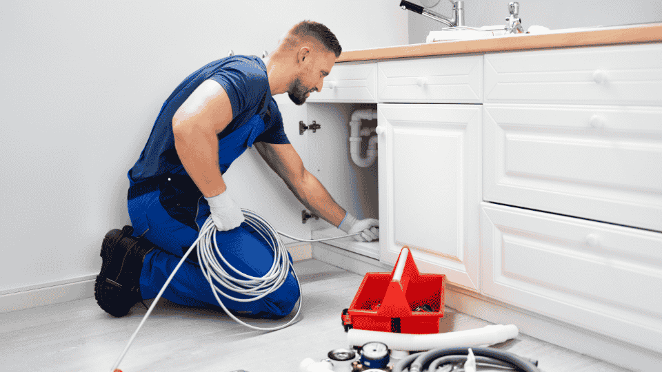 Untitled design (19)